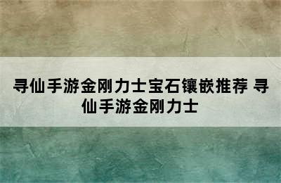 寻仙手游金刚力士宝石镶嵌推荐 寻仙手游金刚力士